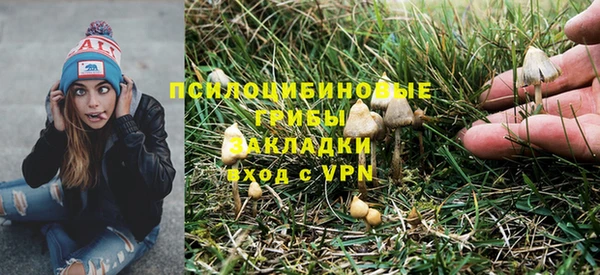 прущая мука Балахна