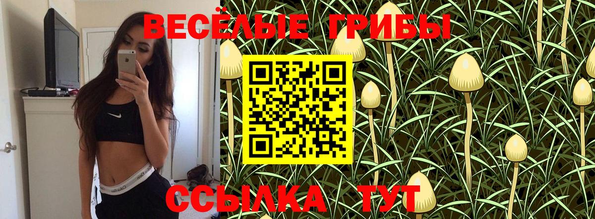 Псилоцибиновые грибы Magic Shrooms  Вход с VPN  Псилоцибиновые грибы прущие грибы  Верхняя Салда 